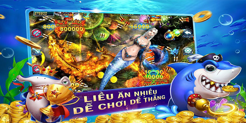 Tổng quan về game bắn cá Bingo dễ hiểu Tổng quan về game bắn cá Bingo dễ hiểu
