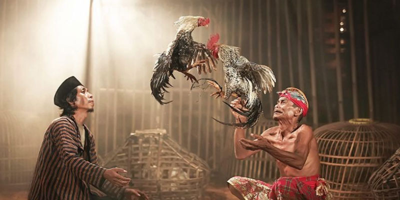 Một số cân nhắc quan trọng trước khi tham gia cá cược đá gà ăn tiền Một số cân nhắc quan trọng trước khi tham gia cá cược đá gà ăn tiền