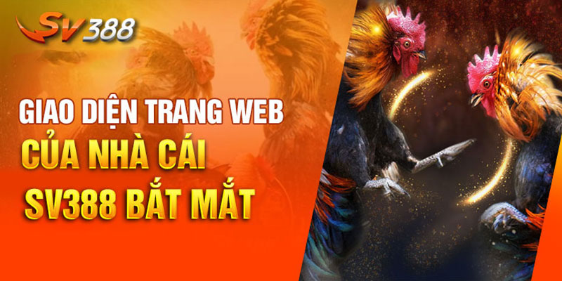 Những đặc điểm nổi bật của đá gà trực tiếp SV388 Những đặc điểm nổi bật của đá gà trực tiếp SV388