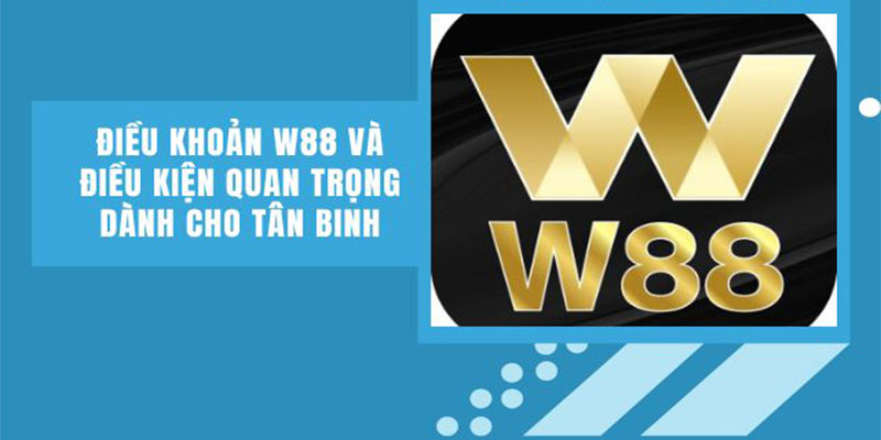 Điều kiện điều khoản W88 cơ bản dành cho tân thủ Điều kiện điều khoản W88 cơ bản dành cho tân thủ