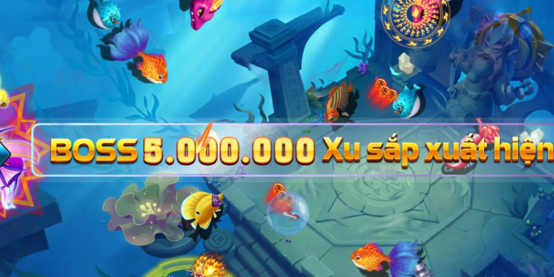 Đôi điều về game bán cá h5 Đôi điều về game bán cá h5