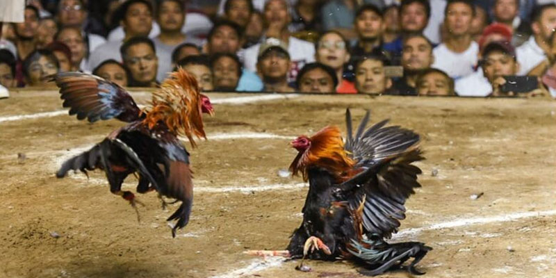 Dịch vụ chăm sóc khách hàng chất lượng Dịch vụ chăm sóc khách hàng chất lượng