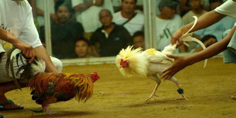 Tại sao kỹ thuật "Chuyển động nhẹ nhàng" quan trọng? Tại sao kỹ thuật "Chuyển động nhẹ nhàng" quan trọng?