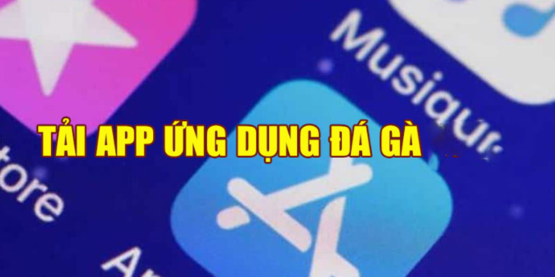 Tổng hợp các app đá gà trực tiếp hàng đầu 2023 Tổng hợp các app đá gà trực tiếp hàng đầu 2023