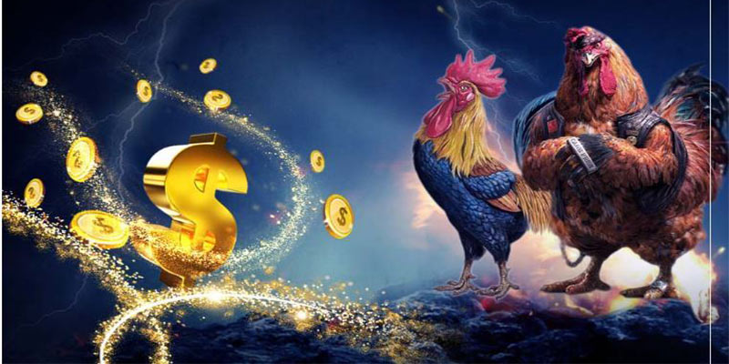 Theo dõi thời điểm đặt cược Theo dõi thời điểm đặt cược