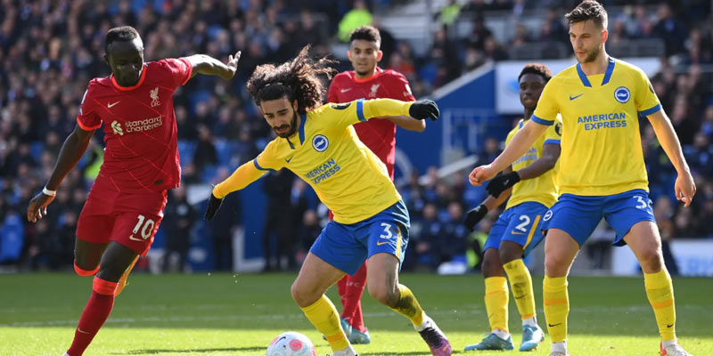 Đội hình - Yếu tố quan trọng khi nhận định kèo Brighton vs Liverpool Đội hình - Yếu tố quan trọng khi nhận định kèo Brighton vs Liverpool