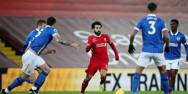 Nhận định kèo Brighton vs Liverpool chi tiết dành cho người mới Nhận định kèo Brighton vs Liverpool chi tiết dành cho người mới