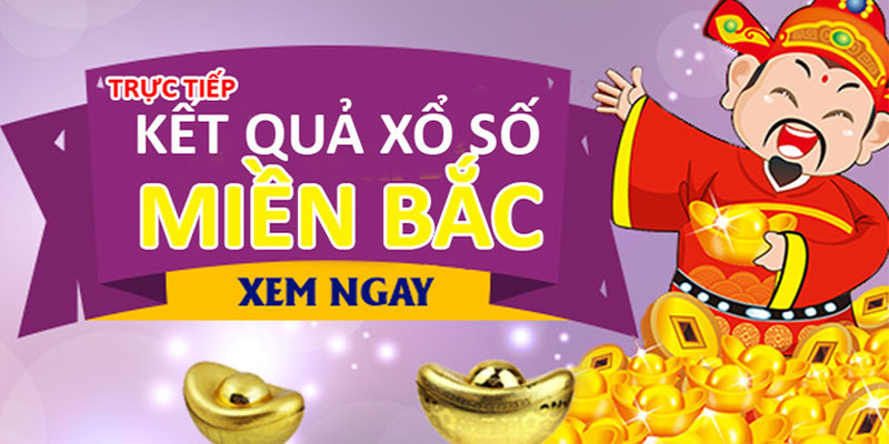 4 bước dò vé xổ số hôm nay miền Bắc 4 bước dò vé xổ số hôm nay miền Bắc