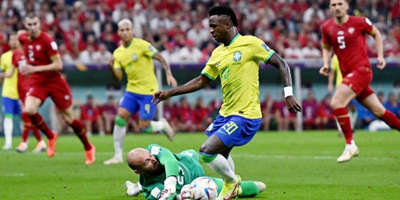 Nhận định kèo Brazil vs Serbia khi đặt cược Nhận định kèo Brazil vs Serbia khi đặt cược