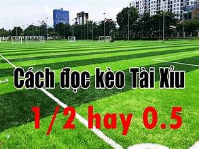 Cách tính tiền chiến thắng dành cho tân thủ