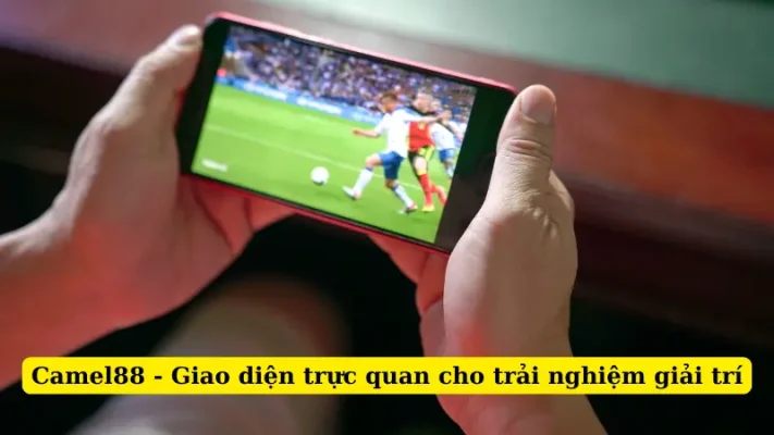 Camel88 - Giao diện trực quan cho trải nghiệm giải trí